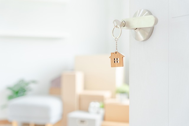 moving boxes