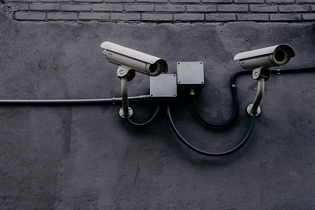 Protect Director Address Privacy: Proven Solutions Unveiled