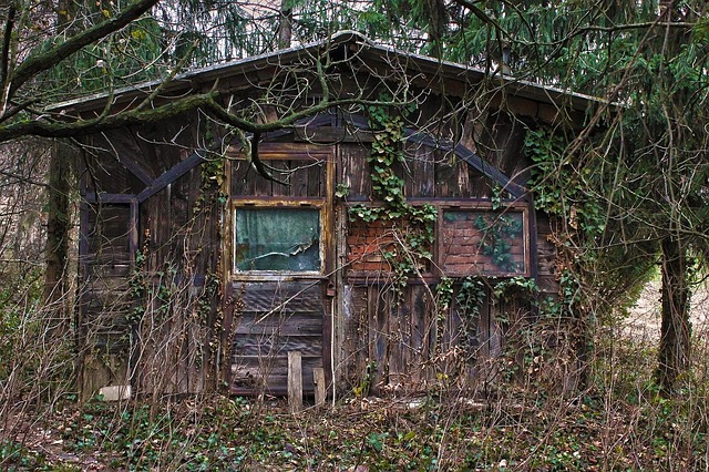 Mastering Minimalism: Your Complete Downsizing Blueprint