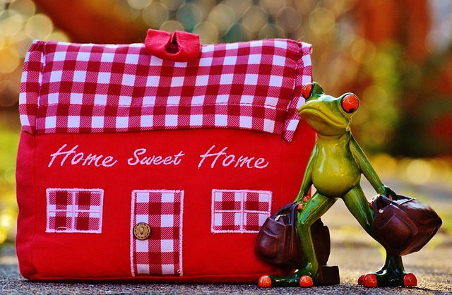 Safeguarding Your Space: Avoiding Unwanted Intruders at Home