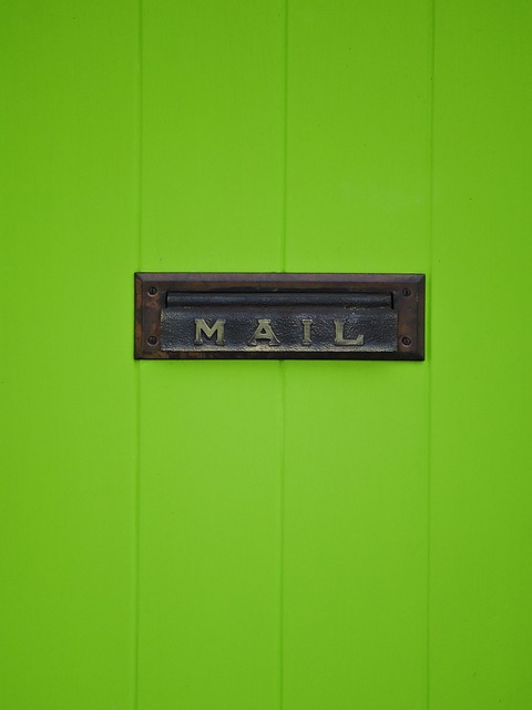 Cost of Email Alerts for Director Mail: Compare &amp; Optimize