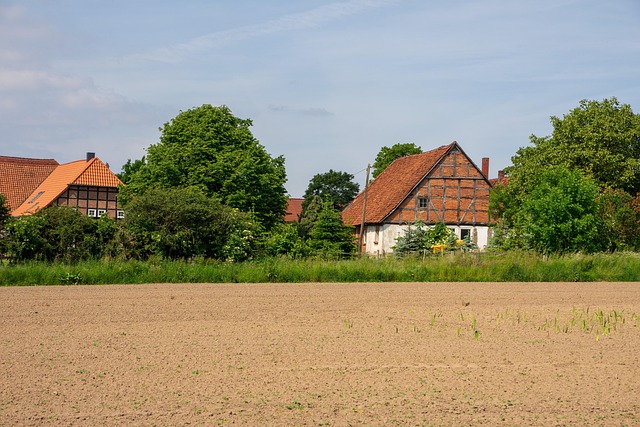 Uncovering Vintage Treasures: House Clearance &amp; Antique Valuation Secrets
