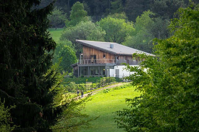 Navigating Complex Projects: New Build House Clearance Strategies
