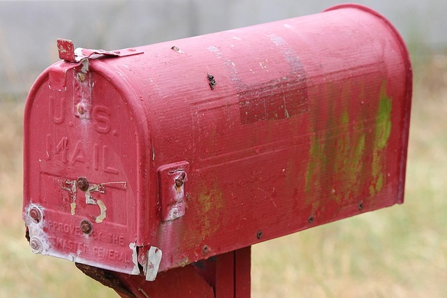 Master Director Service Address Mail Scanning: Comprehensive Guide