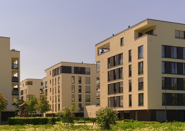 Cost-Effective House Clearance: Streamline, Save, Sustain