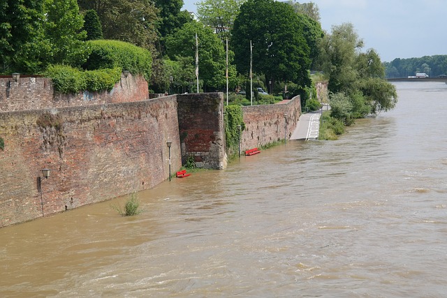 House Clearance After Flood Damage: Expert Cleanup Guide