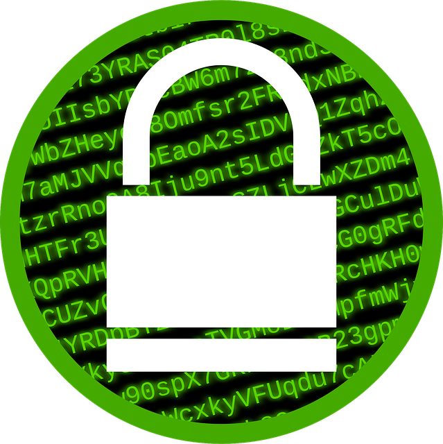 Protect Your Privacy: Navigating Legal Requirements As A Director