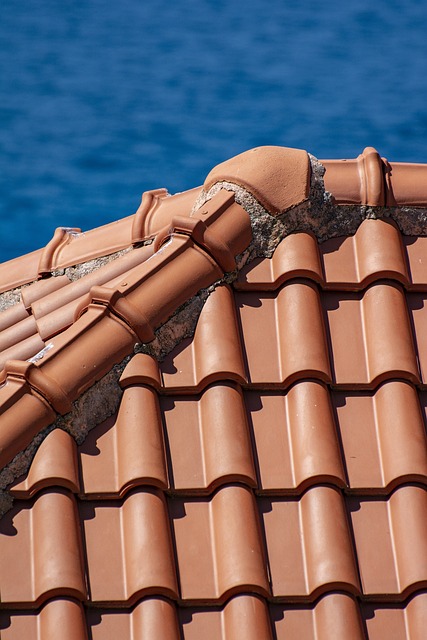 Mastering Long-Term Property Maintenance with Clearance Strategies