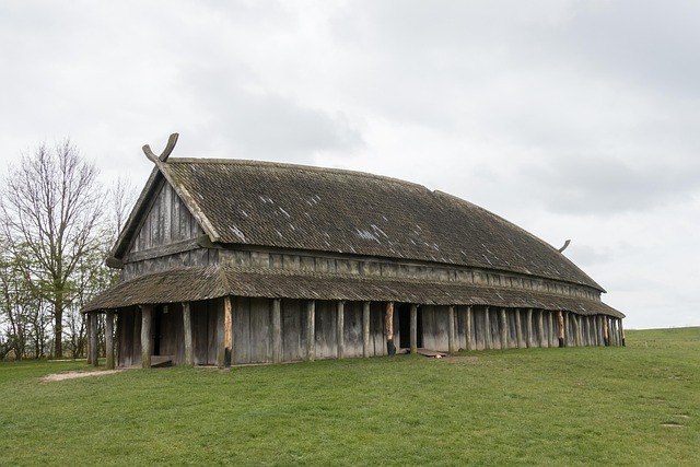 Trusted Skin Tag Removal: Step-by-Step Guide from Experts
