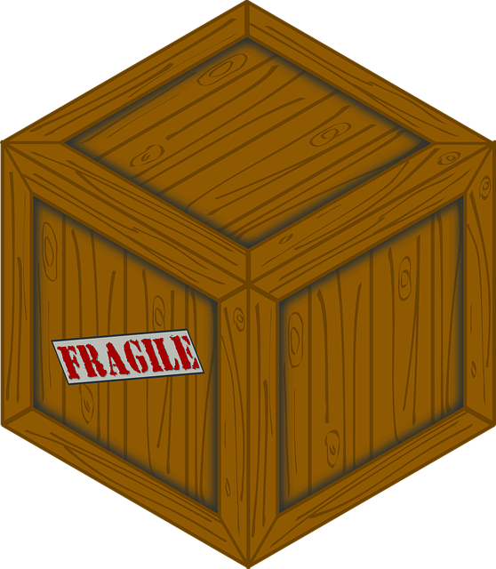 Same-day Hoarding Clearance: Prevent Future Clutter