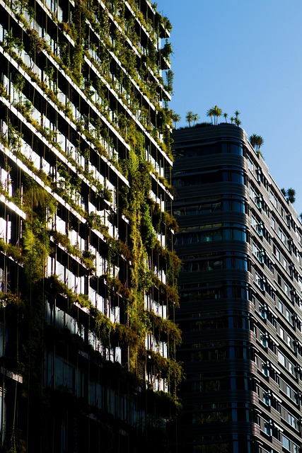 Green House Clearance: Eco-Friendly Strategies for Sustainable Living