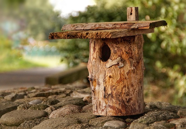Mastering Downsizing House Clearance: Claim Navigation Guide