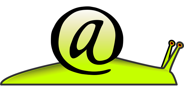 Set Up Email Alerts for Director Mail in Minutes