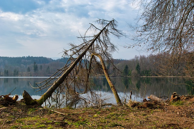 Navigating Legal Obligations After House Clearance Fire Damage