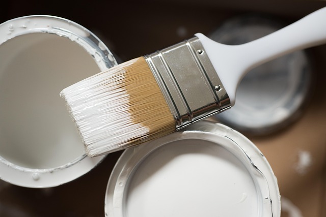 DIY vs. Experts: Navigating House Clearance Before Renovation