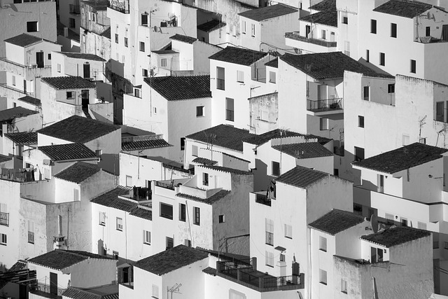 Fortify Your Home: Privacy &amp; Safety Strategies for Unwanted Visitors