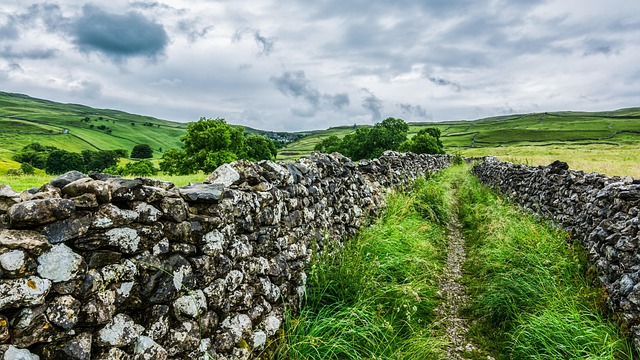 Activating UK Best Director Service: Step-by-Step Timeline