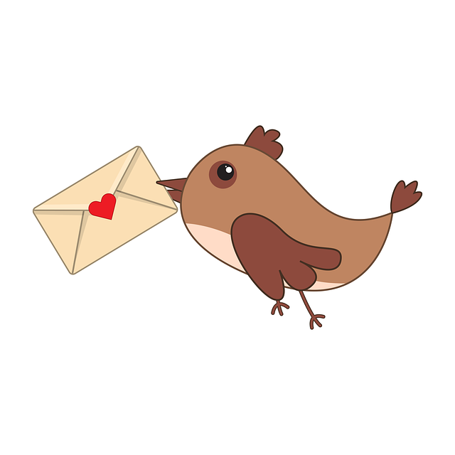 Unleash Business Growth: Director Service Mail Forwarding Mastery