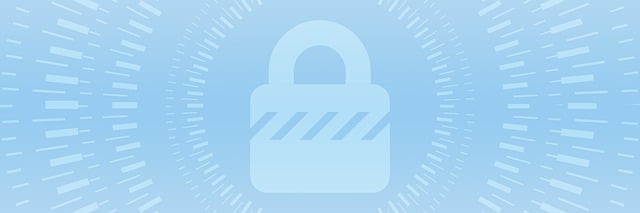 Protect Your Privacy: Director's Guide to Data Safety Laws