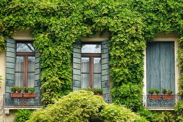 Remove Home Address From Companies House Effortlessly