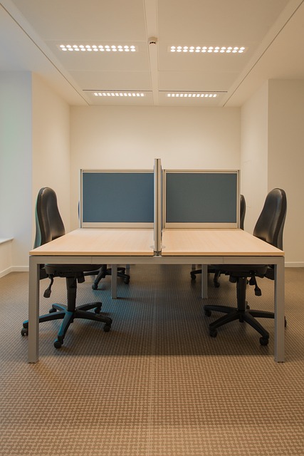 Virtual Office For Directors: Pros, Cons &amp; Setup Guide