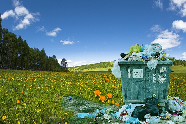 Top House Clearance Pros Near Me: Hire Reliably