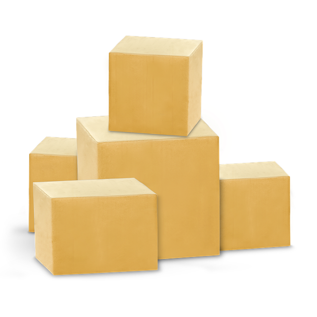 Mastering Director Service Address Mail Scanning Efficiency