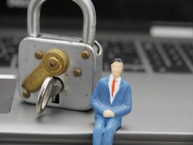 Protect Your Privacy: Best Director Strategies for Data Safety