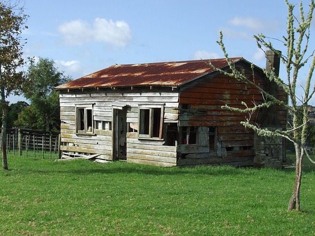 Efficient Junk Removal: Planning for Commercial Property Clearance
