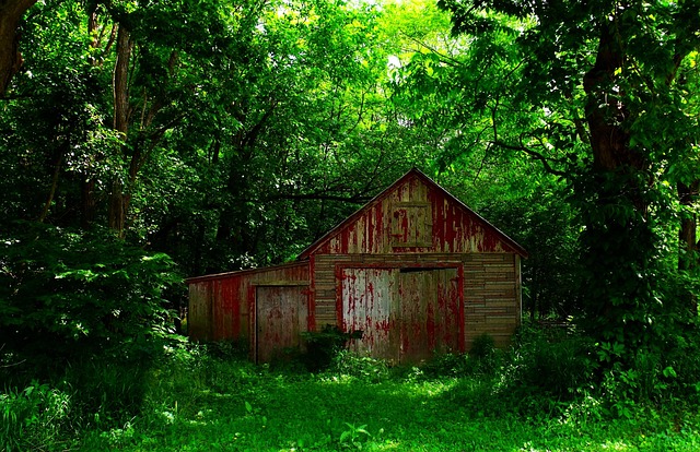 Efficient House Clearance: Busy Professionals' Guide to Valuation &amp; Move