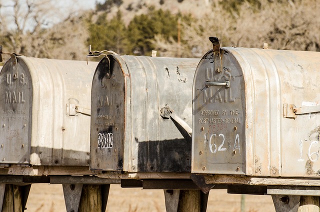 Email Alerts: Transform Director Mail Communication &amp; Decision Making