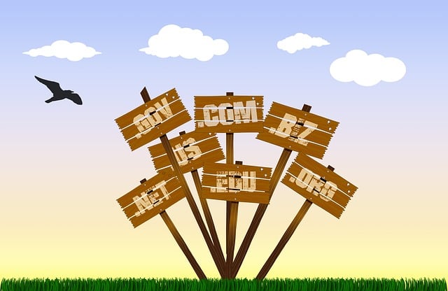 Service Address For Online Businesses: Registration &amp; Eligibility Guide