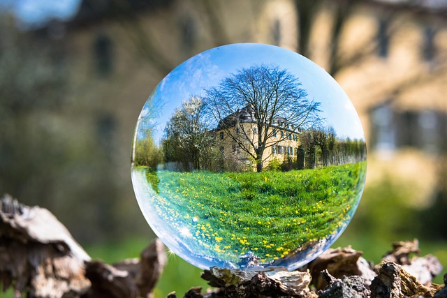 property clearance