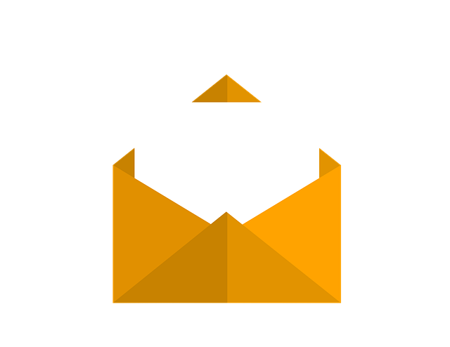 Reduce Junk Mail As A Director