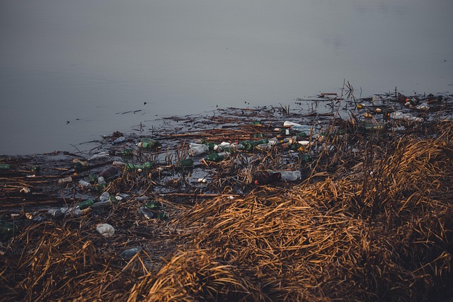 rubbish removal