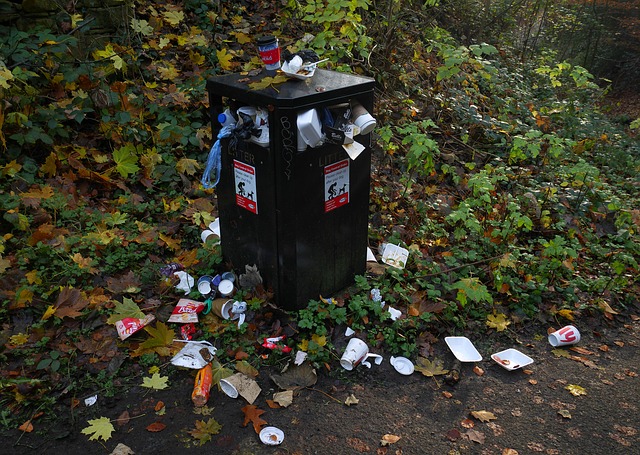 rubbish removal