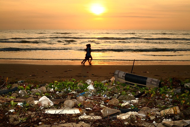 rubbish removal