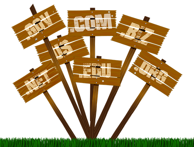 Service Address For Business Consultants