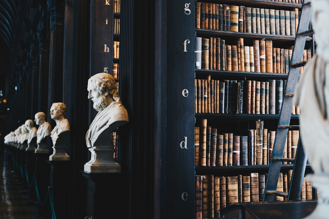 Setting Up Your Companies House Director Service Address: Next Steps