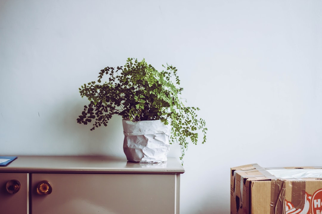 Simplify Your Space: Maisonette Clearance for Calm Haven