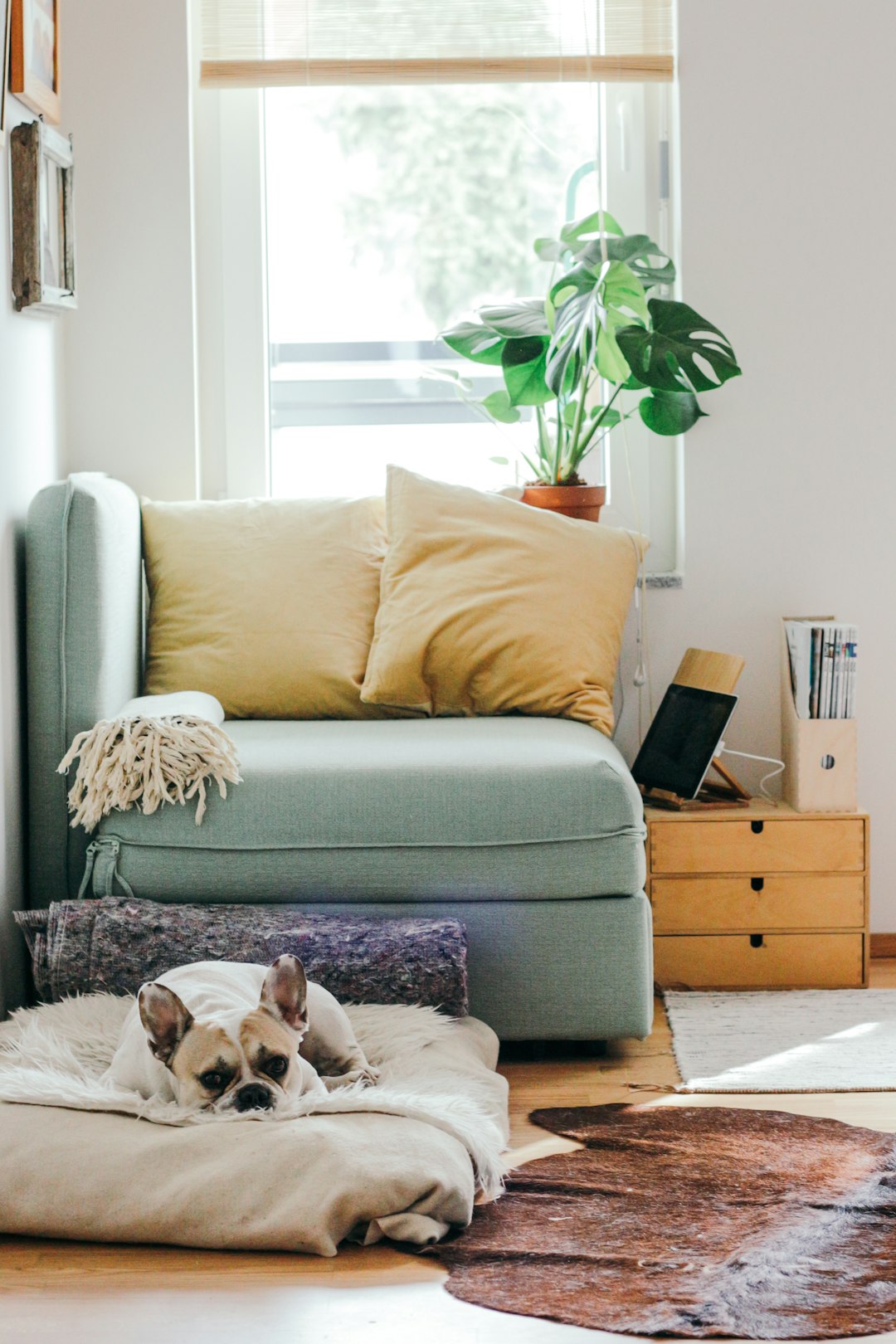 Unclutter Your Space: House Clearance for Mental Calmness