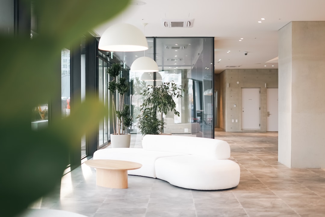 Virtual Office Activation: Timeframe & Directors Post-Setup Optimizations