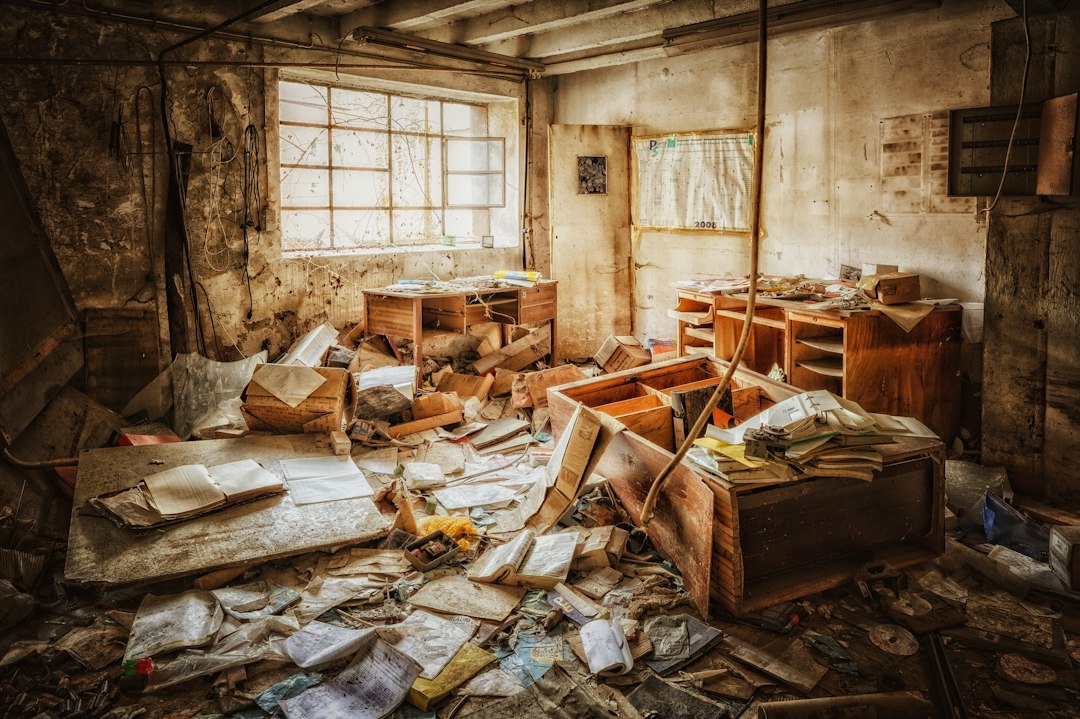 Organize Your Home Post-Clearance: Calm & Efficient Spaces