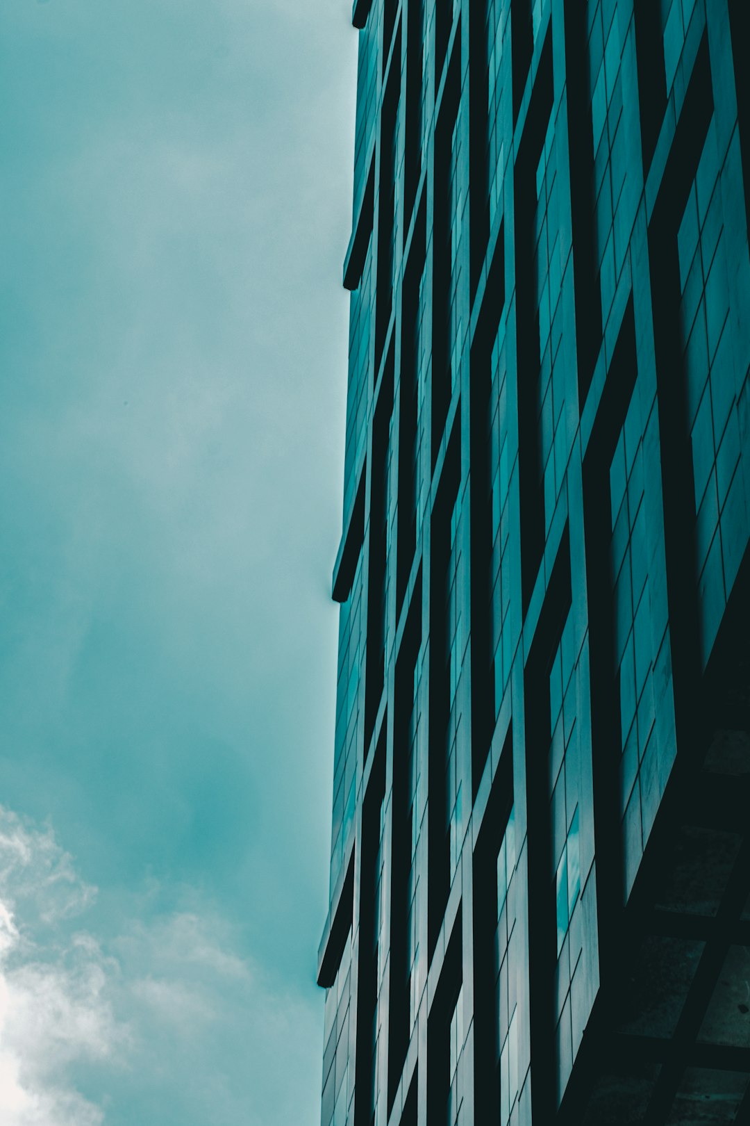 Securing Your Data: Director Service Address Safety Explained
