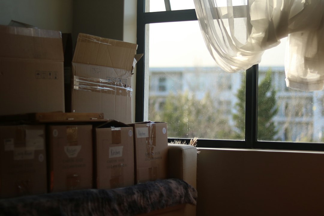 Efficient House Clearance: Skip Hire Benefits and Eco-Friendly Tips